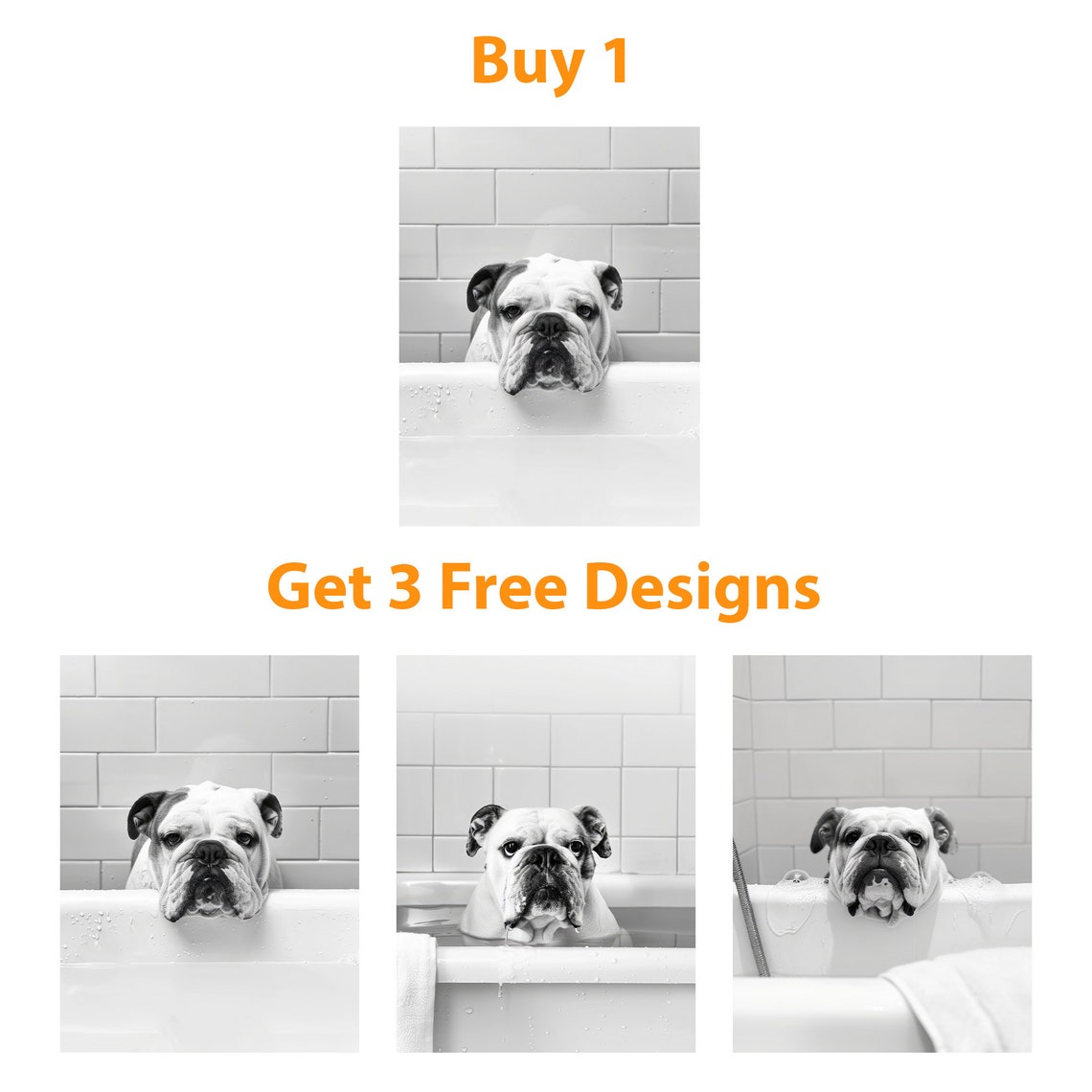 English Bulldog Resting Chin On Bathtub Black White Dog Poster - Image 6