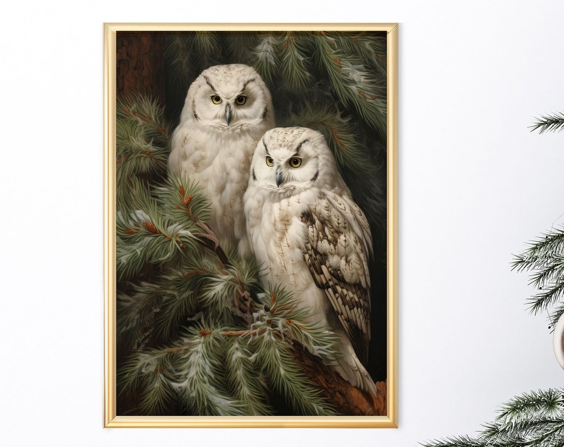 Two White Snowy Owls Perched in a Pine Tree Winter Bird Poster - Image 8
