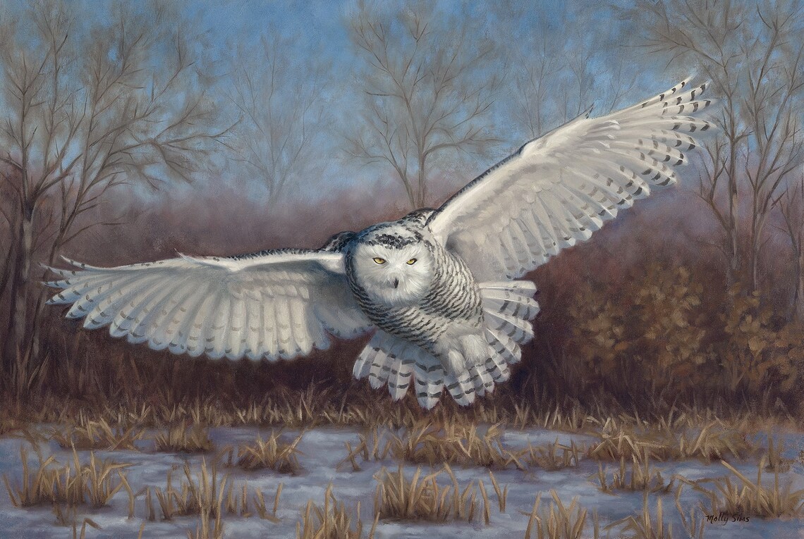 Snowy Owl Flying Over Snowy Field Winter Wildlife Painting Poster