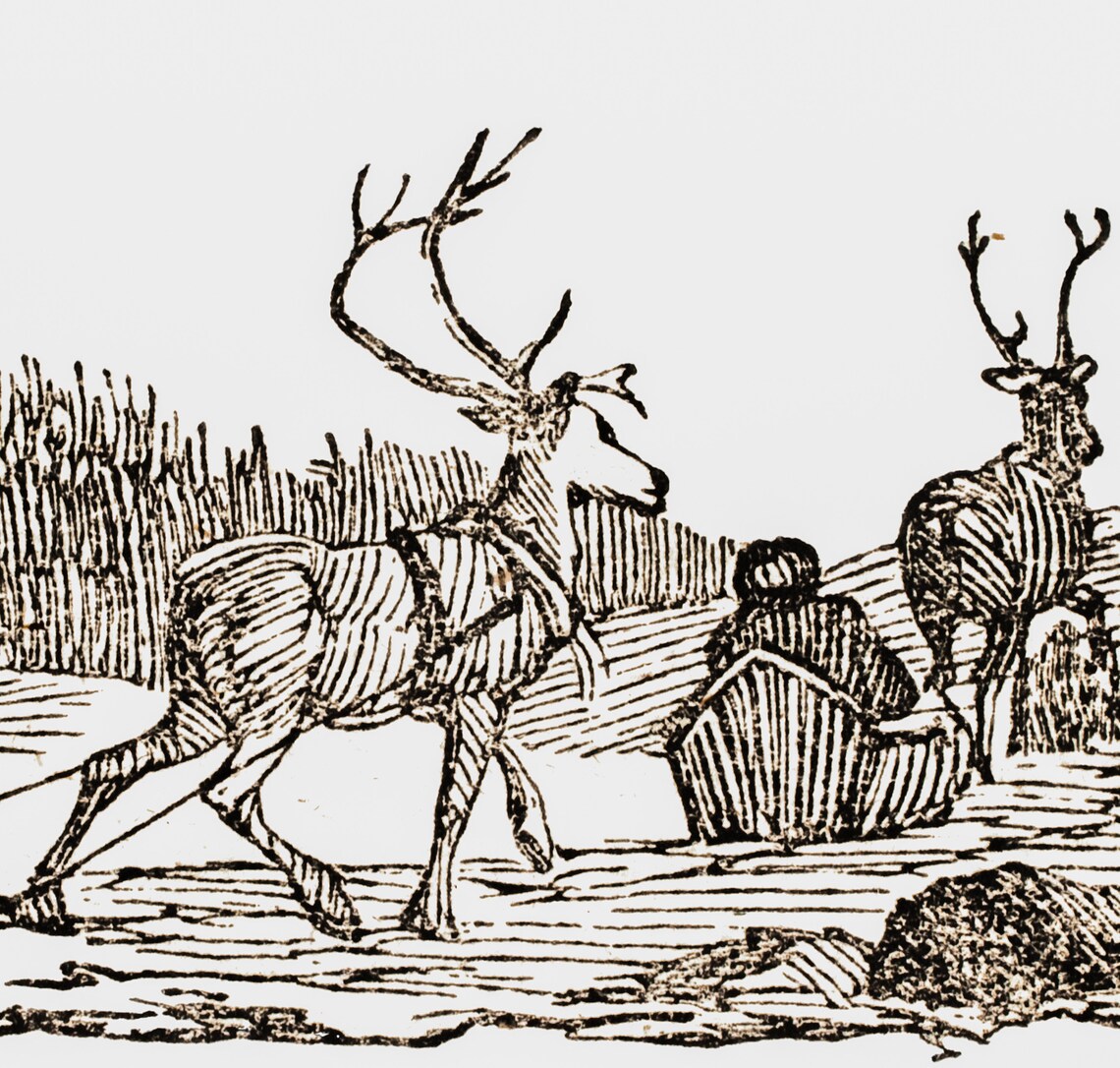 Reindeer Sketch Painting Christmas Vintage Art Print - Image 4