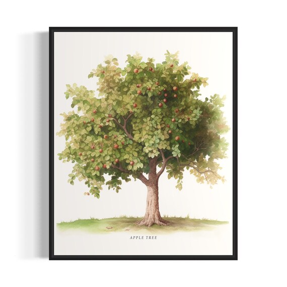 Apple Tree Art Print, Orchard Wall Decor