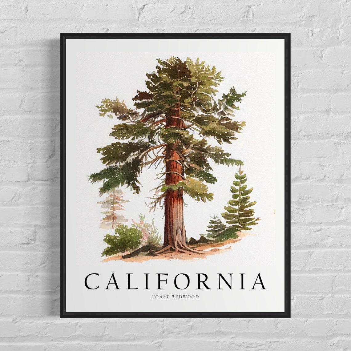 California Coast Redwood Towering Forest Watercolor Tree Poster