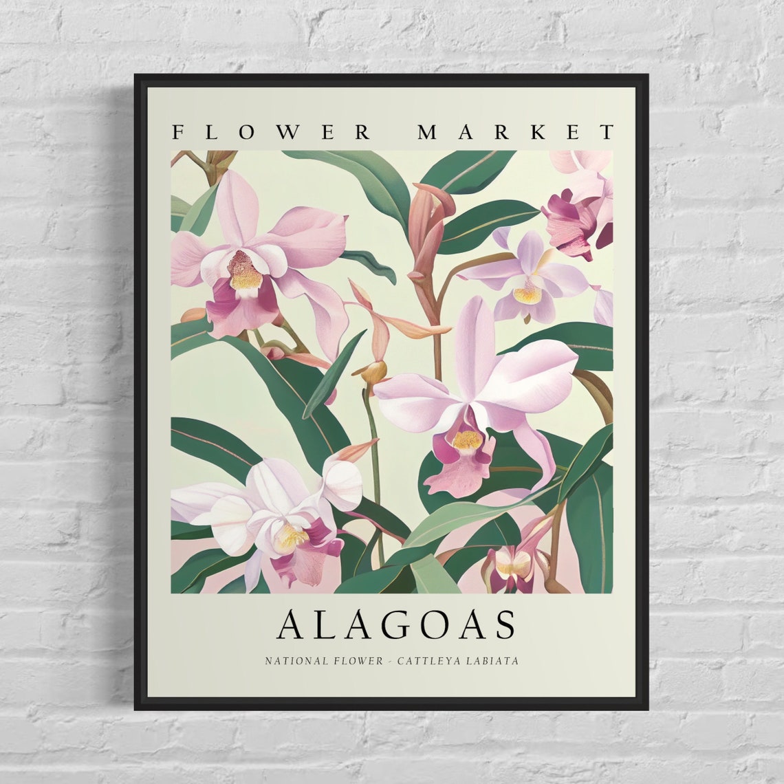 Alagoas Flower Market Cattleya Orchid Poster Pink Blooms Botanical