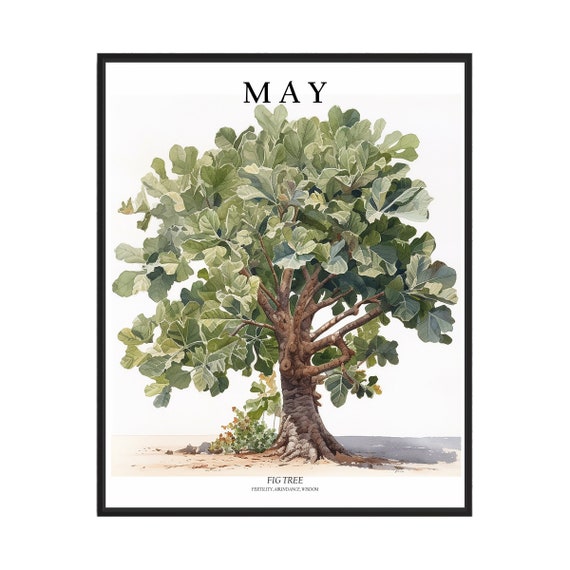 May Tree Month Fig Tree Art Print Fig Tree Wall Art Poster