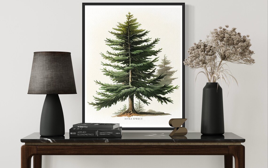 Sitka Spruce Tree Art Print, Forest Subject - Image 3