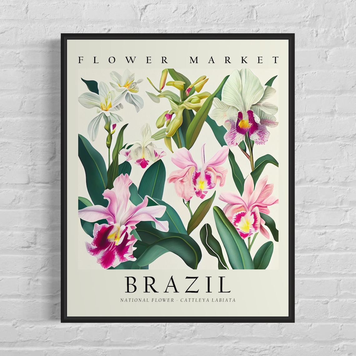 Brazil National Flower Cattleya Labiata Botanical Art Print