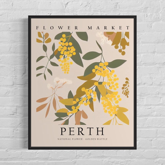 Perth Australia Flower Market Art Print, Golden Wattle