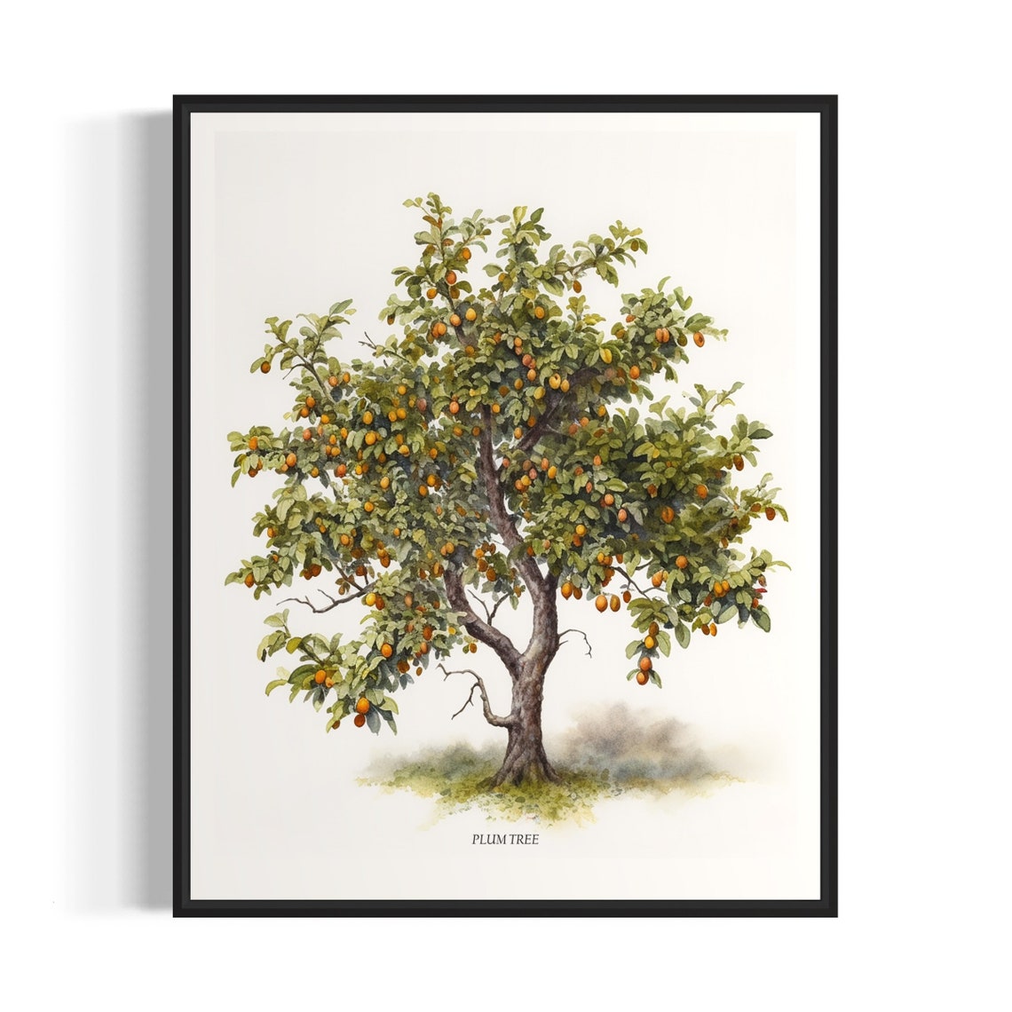 Plum Tree Art Print Plum Tree Wall Art Poster