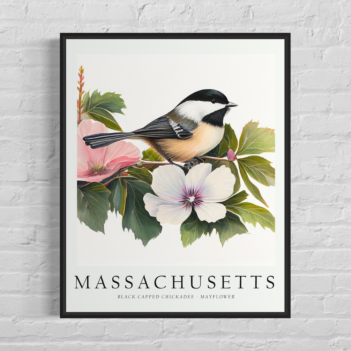 Massachusetts State Bird Art Print, State Flower