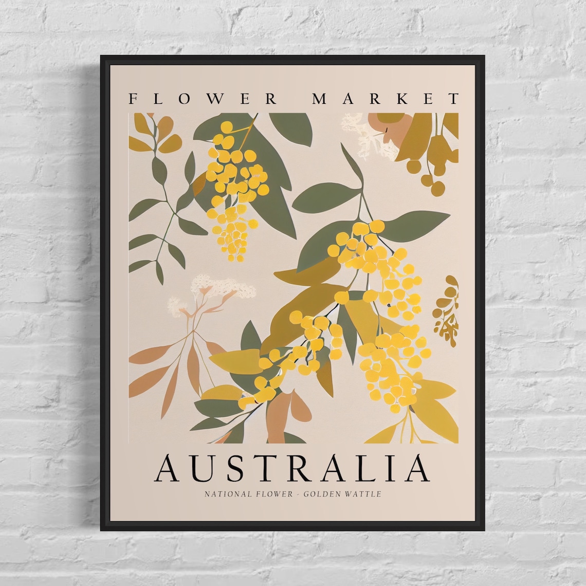 Golden Wattle 1960s Botanical Art Print, Australia