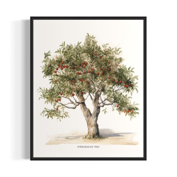 Pomegranate Tree Art Print Pomegranate Tree Wall Art Poster