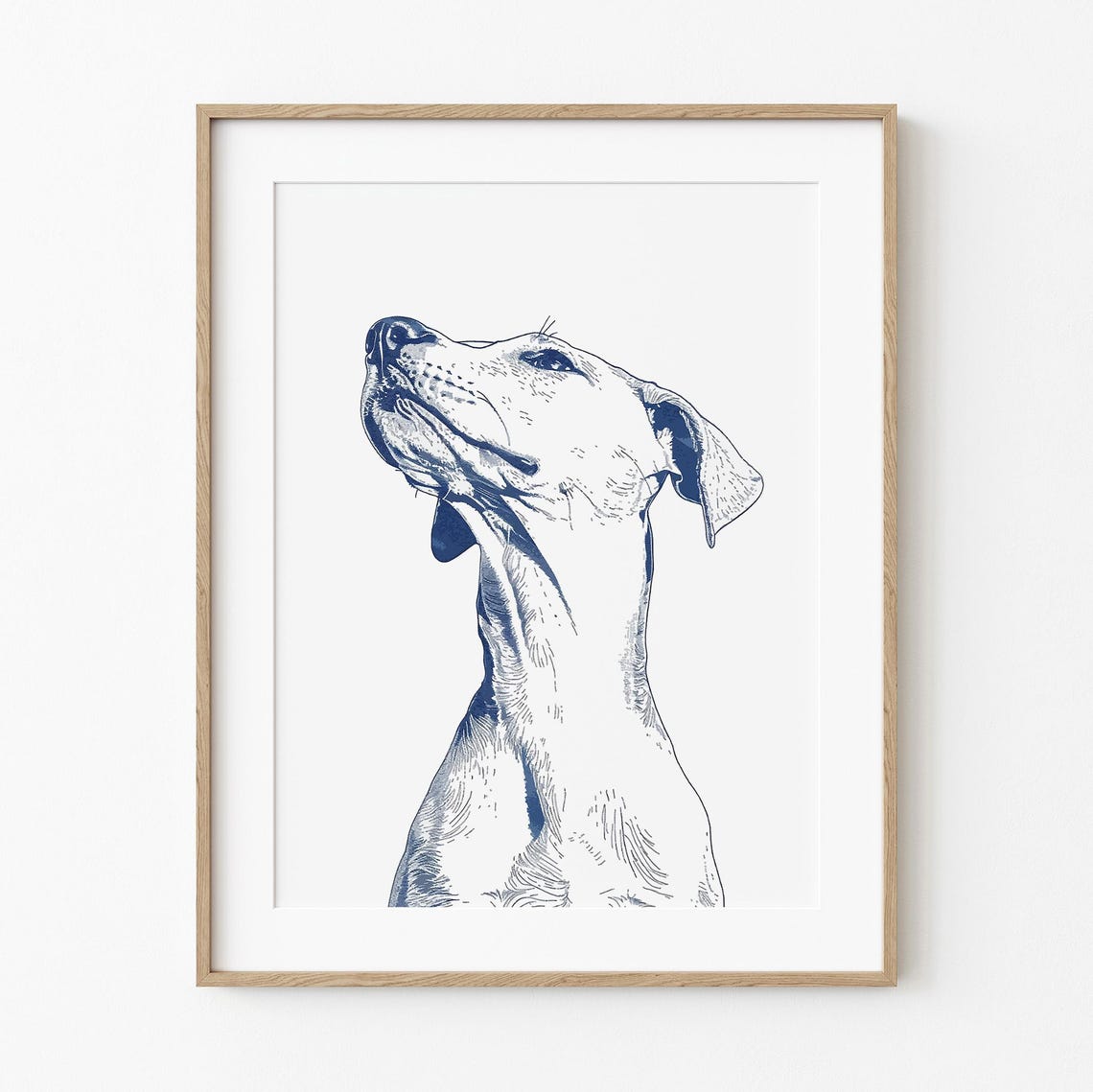 Whippet Sighthound Blue Ink Line Drawing Elegant Dog Art Poster