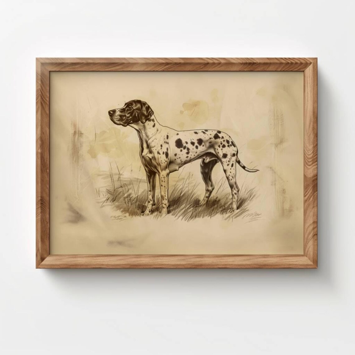 Hunting Dog Sketch GSP Vintage Nursery Art Print