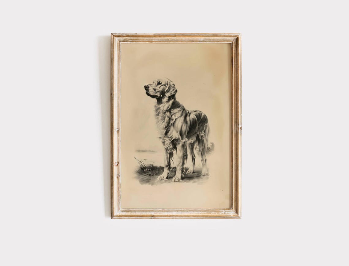 Golden Retriever Antique Dog Breed Sketch Portrait Wall Art Print - Image 2