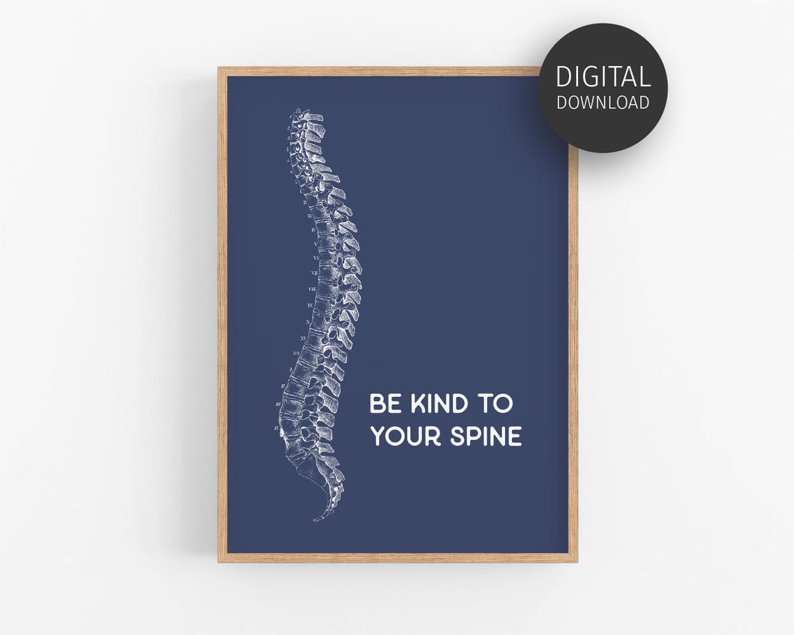Be Kind To Your Spine Navy Blue Anatomy Chiropractor Wall Art