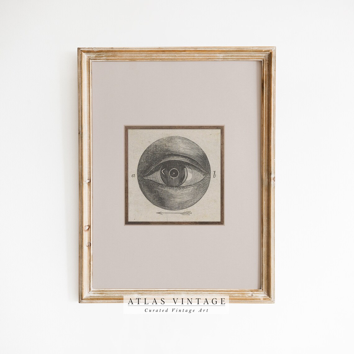 Antique Eye Anatomy Engraving Vintage Eyeball Medical Art Poster