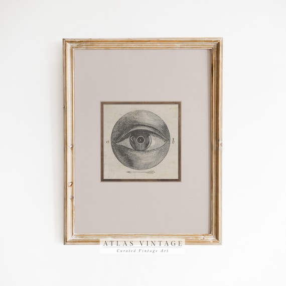 Antique Eye Anatomy Engraving Vintage Eyeball Medical Art Poster
