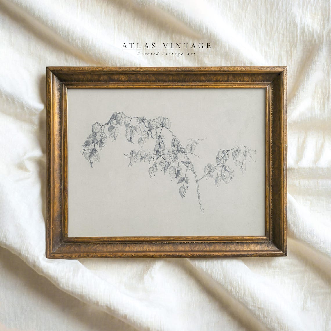 Delicate Leafy Branch Pencil Sketch Neutral Botanical Art Poster