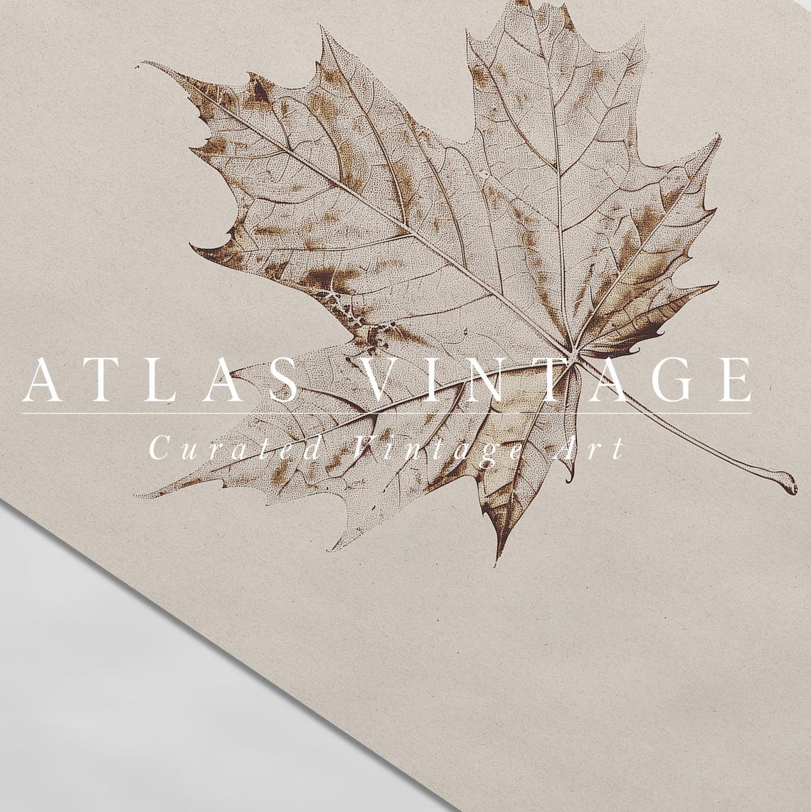 Pressed Maple Leaf Botanical Sketch Neutral Autumn Wall Poster - Image 7