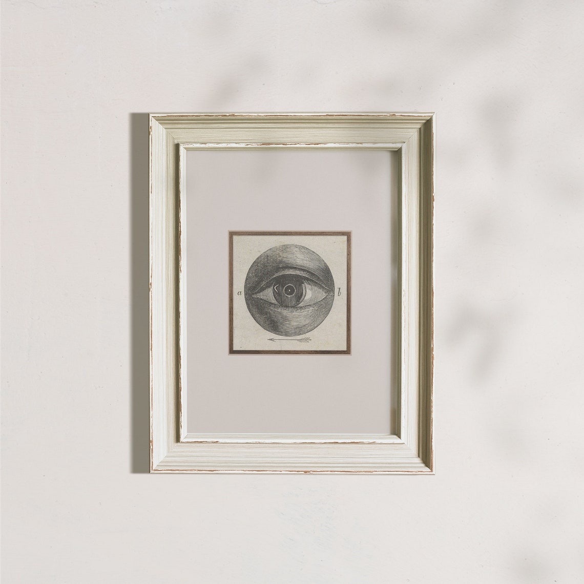 Antique Eye Anatomy Engraving Vintage Eyeball Medical Art Poster - Image 6