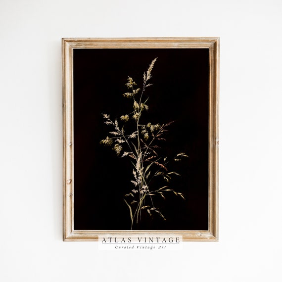 Dark Botanical Print Dark Academia Wall Decor Moody Floral Antique Wall Art Dark Farmhouse Dcor