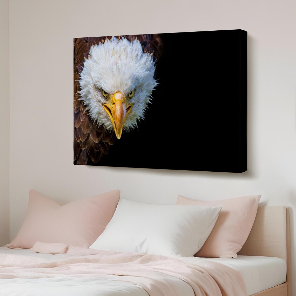 Bald Eagle Close Up Portrait Black Background Wildlife Poster