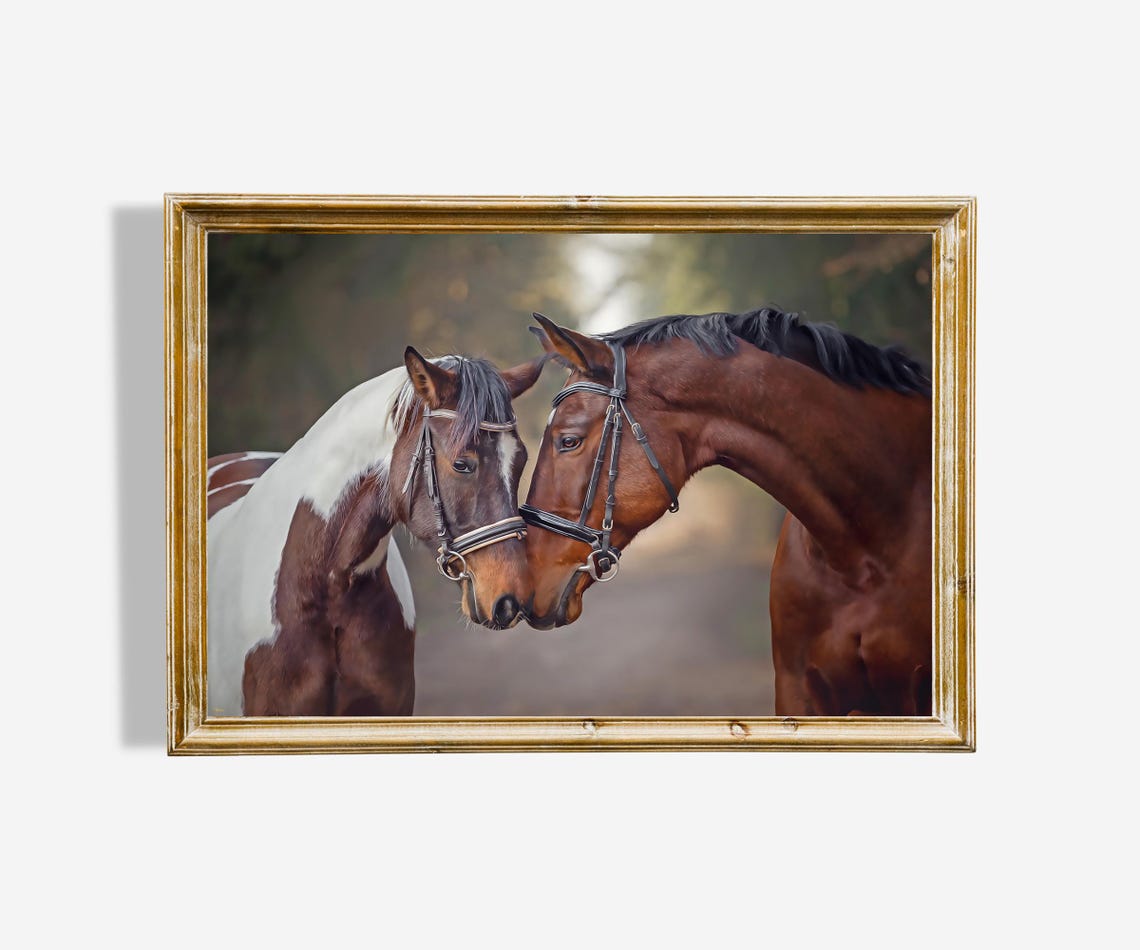 Affectionate Horses Nuzzling Bay and Pinto Equine Art Poster