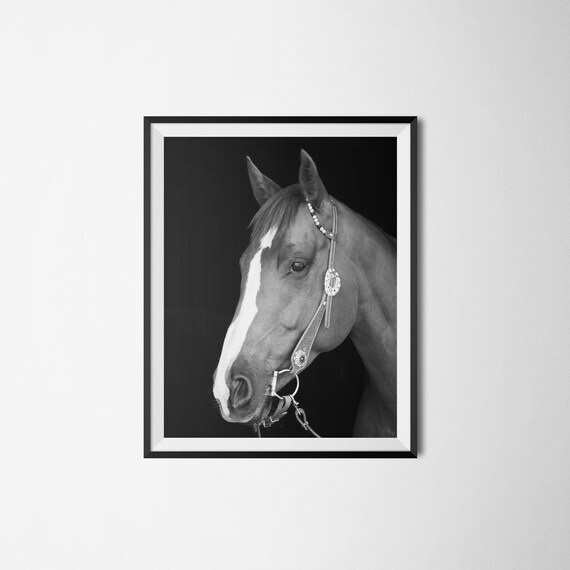 Horse Print Horse Pictures Horse Photography Horse Lover Gift Cute Horse Cute Animal Print Cute Animal Art Black And White Prints