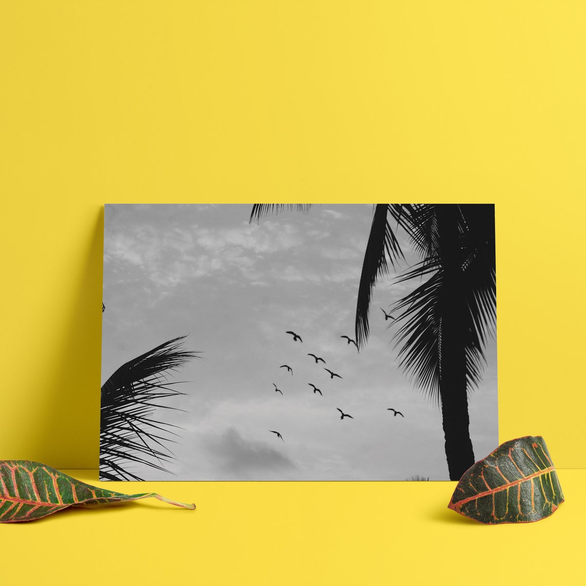 Flying Birds Black and White Palm Tree Minimalist Photo Poster - Image 2