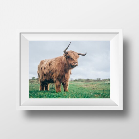 Buffalo Print Bison Wall Art Living Room Decor Kids Room Poster Farm Sign Modern Minimal Boys Room Art Farm Gifts Cute Cow Nature