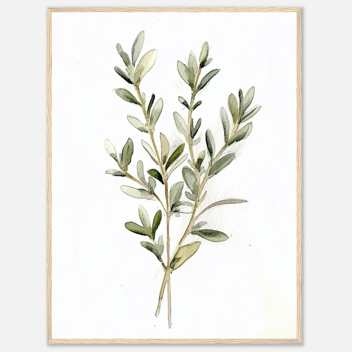 Thyme Watercolor Print Herb Wall Art Green Herbs Botanical Illustration Kitchen Dining Room Food By Nataliaayuart