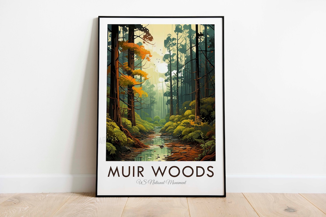 Muir Woods National Monument California Redwood Forest Poster - Image 3