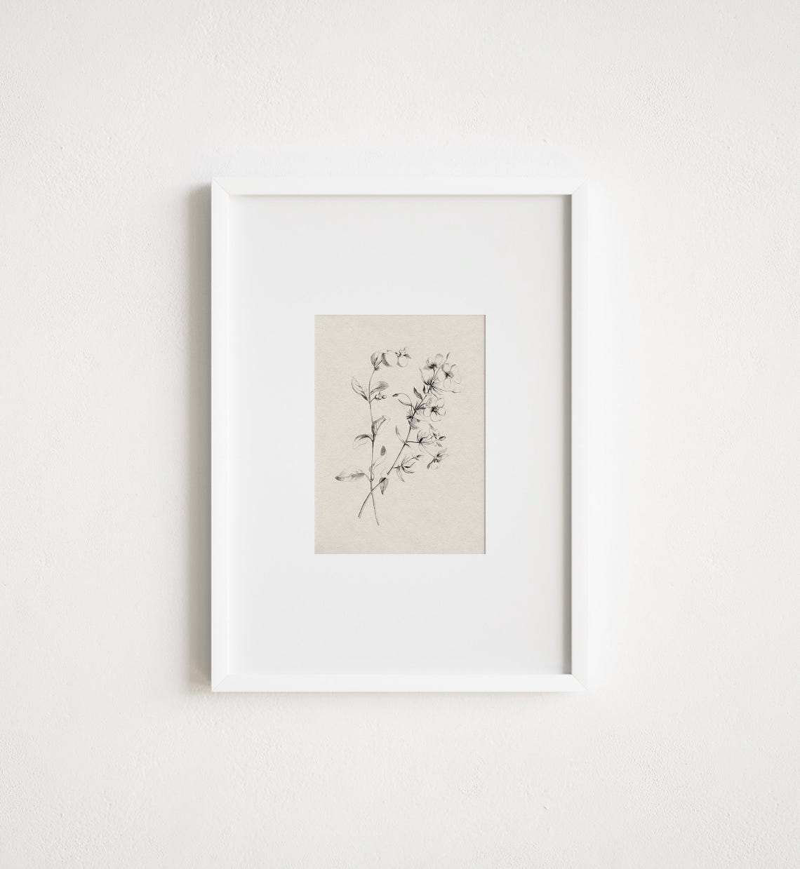 Vintage Cream Black Botanical Flower Sketch Antique Engraving Wall Art - Image 3