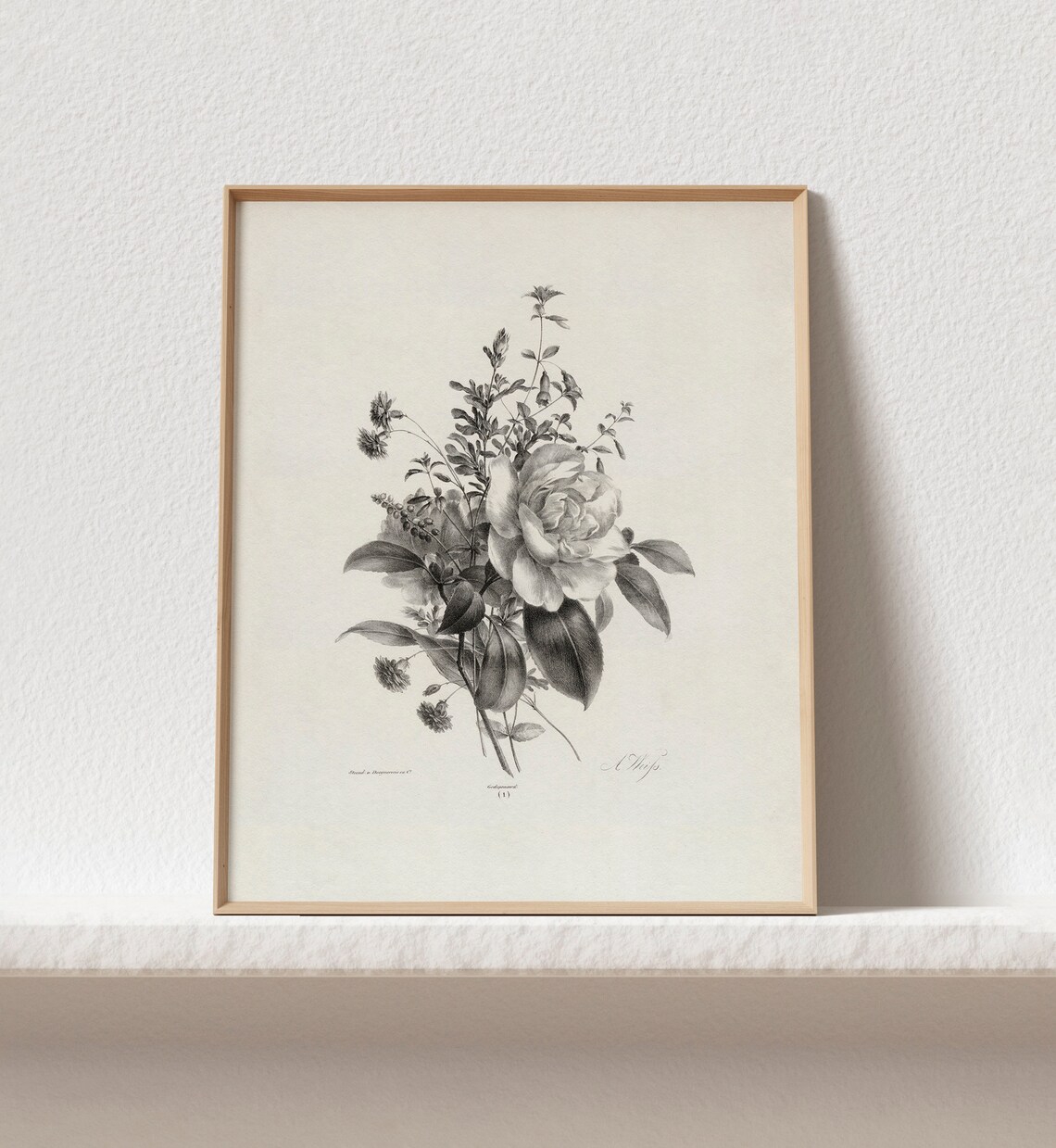 Vintage Botanical Art Print, Antique Neutral Wall Art - Image 3