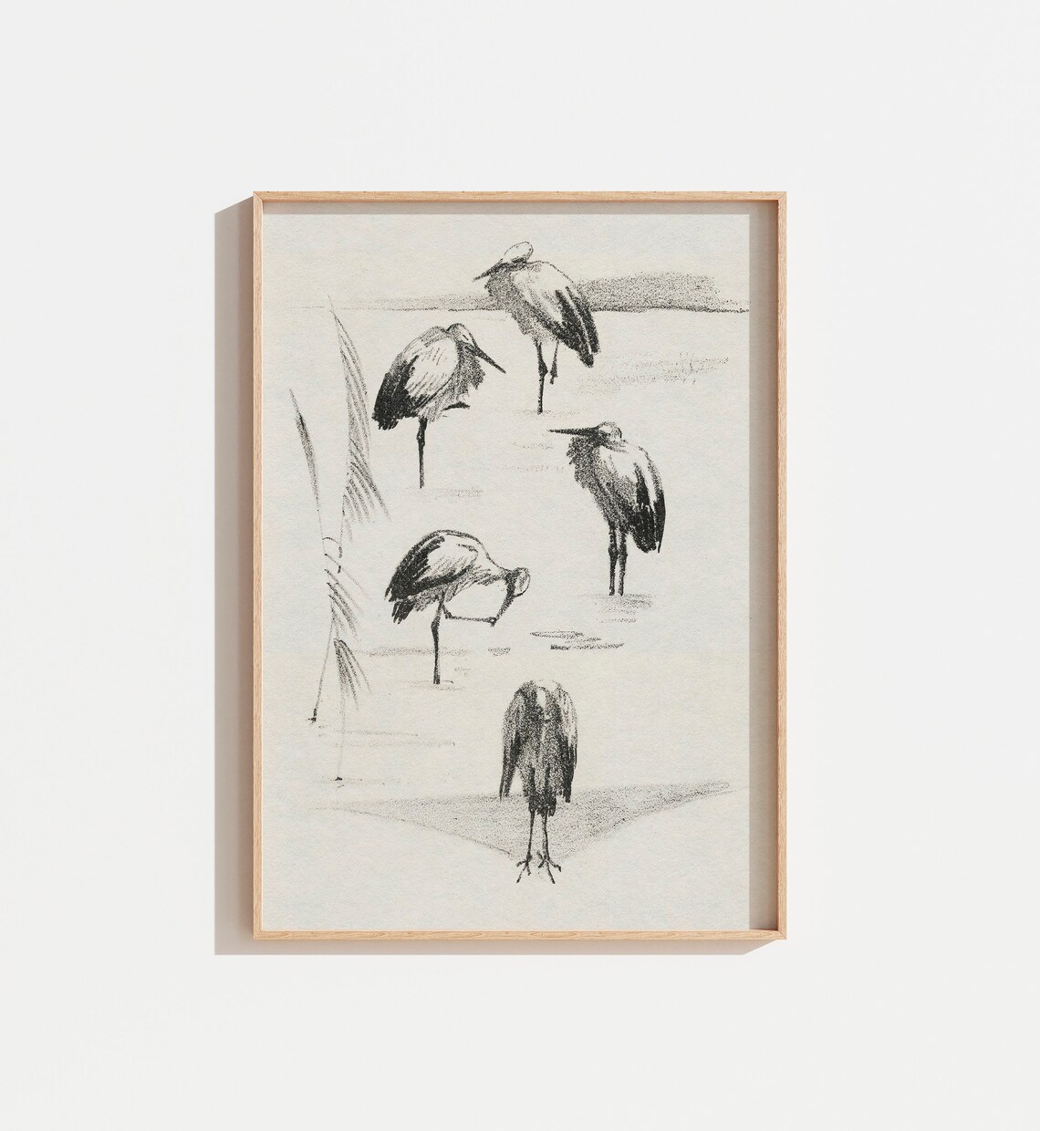 Vintage Bird Sketch, Farmhouse Wall Art Print