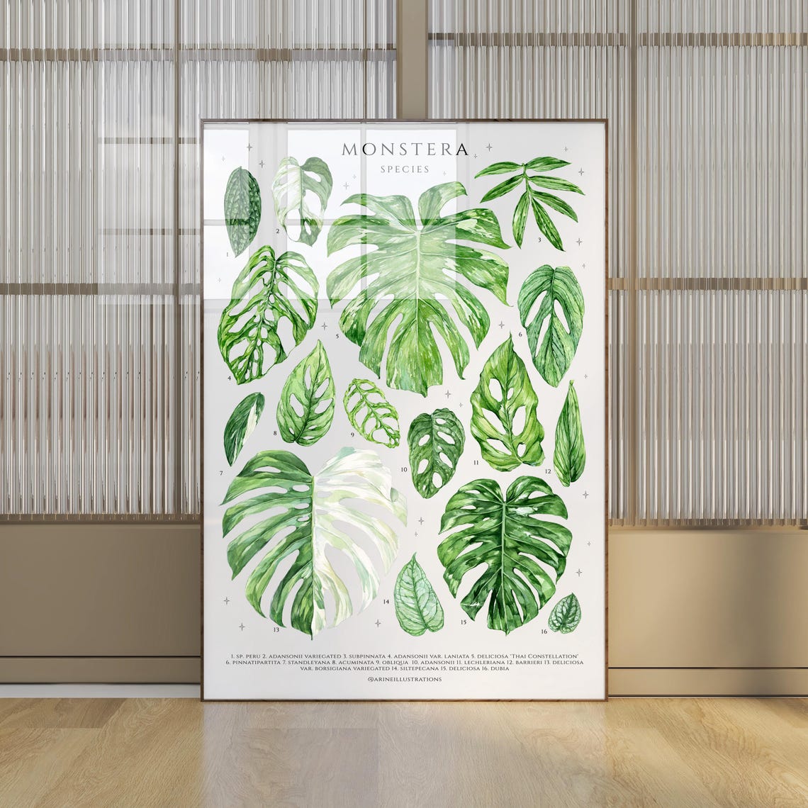 Monstera Species Deliciosa Adansonii Leaf Chart Watercolor Poster - Image 4