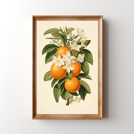 Vintage Floral Oranges Art Print, Retro Botanical