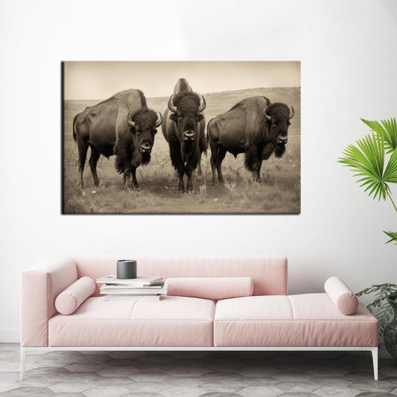 Bison Canvas Print Farmhouse Animal Wall Art