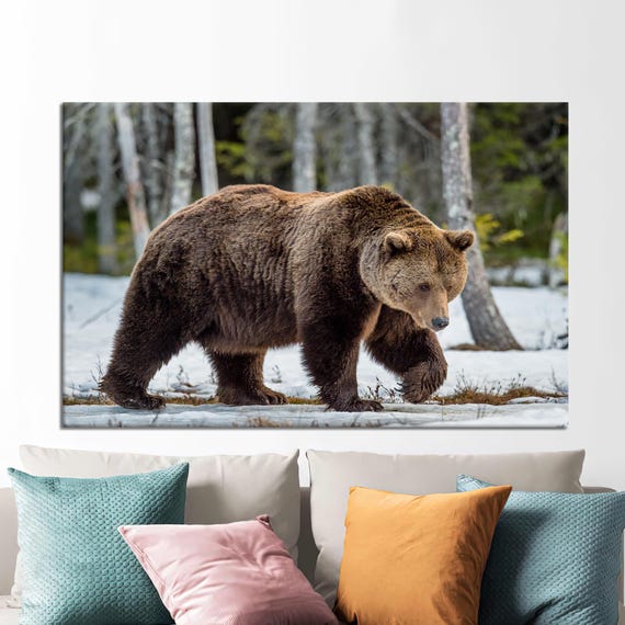 Bear Canvas Art Wild Animal Print Loft Decor