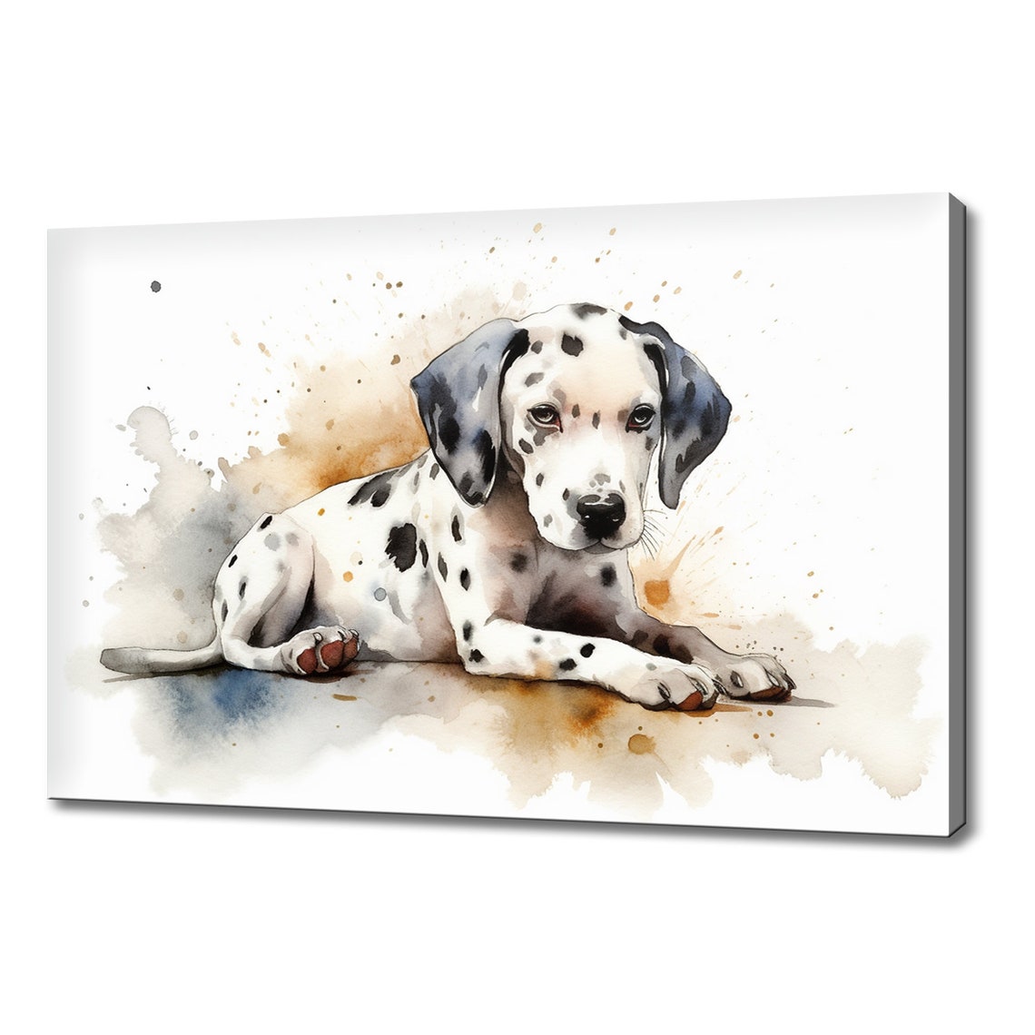 Dalmatian Puppy Spotted Coat Lying Down Splash Watercolour Wall Art