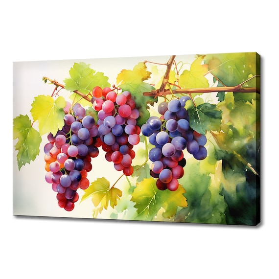 Grapes Tree Branch Watercolour Painting Print Fruits Lover Gift Kitchen Restaurant Wall Art Print Colourful Fruits Wall Decor