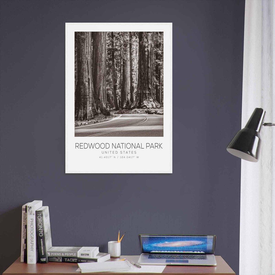 Redwood National Park Giant Trees Winding Forest Road Photo Poster - Image 3