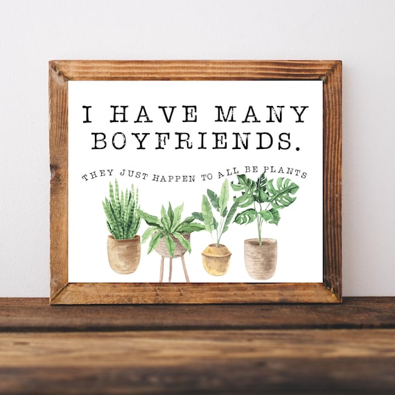 Funny Plant Lady Poster I Have Many Boyfriends Houseplant Gift Decor