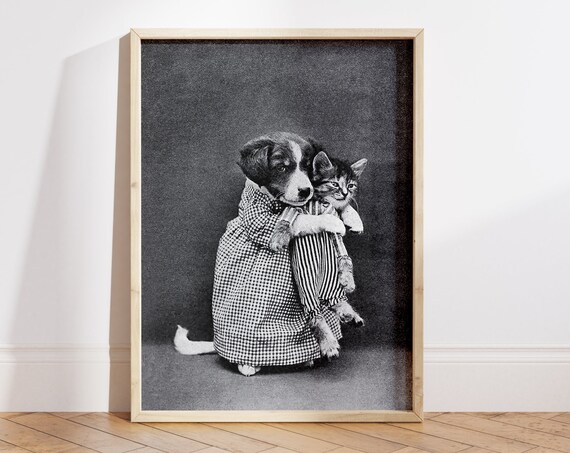Vintage Black And White Puppy Hugging Kitten Dressed Up Photo Poster