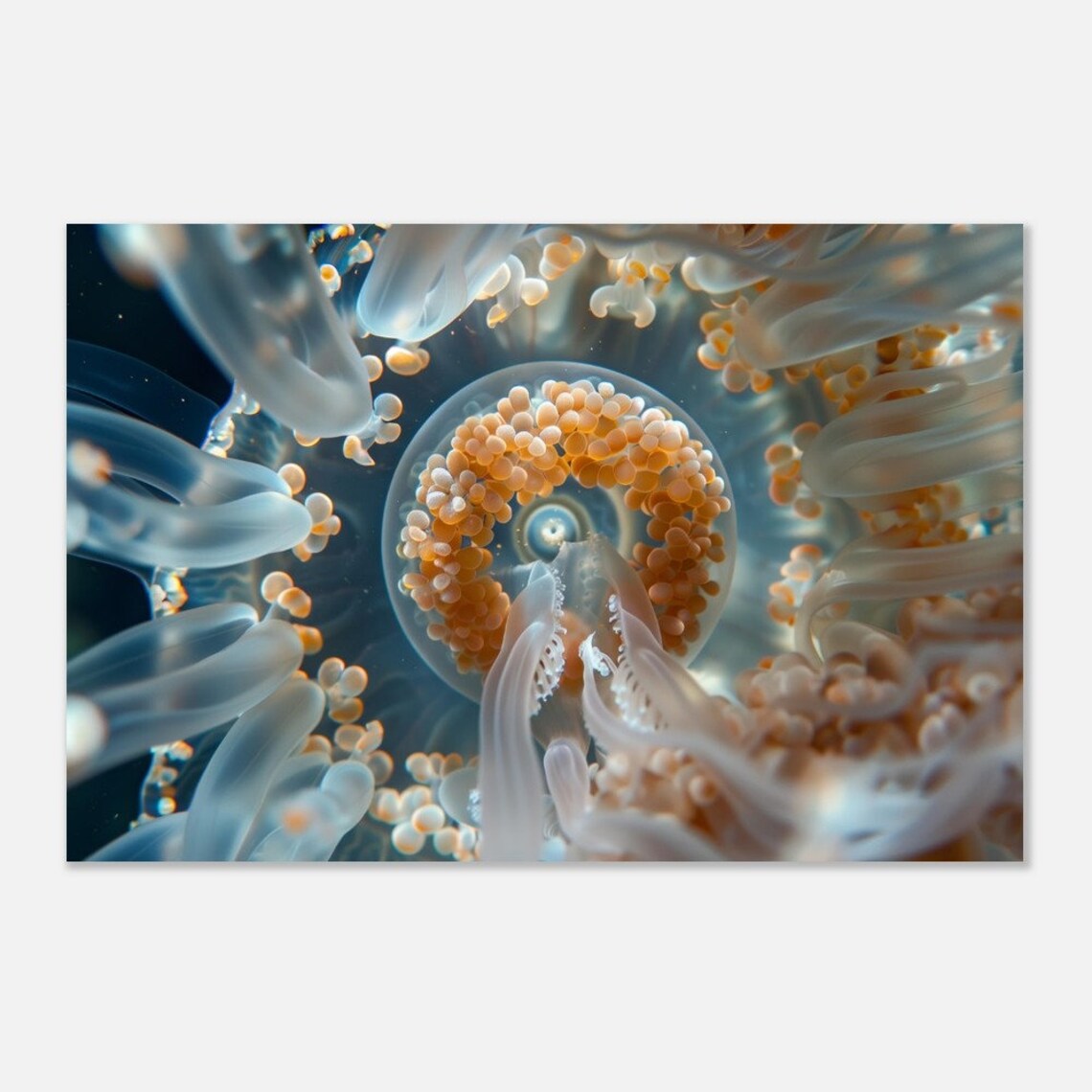 Jellyfish Macro Photo Translucent Tentacles Abstract Ocean Wall Art Poster - Image 4