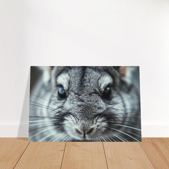 Chinchilla Extreme Close Up Gray Furry Face Cute Animal Photo Poster