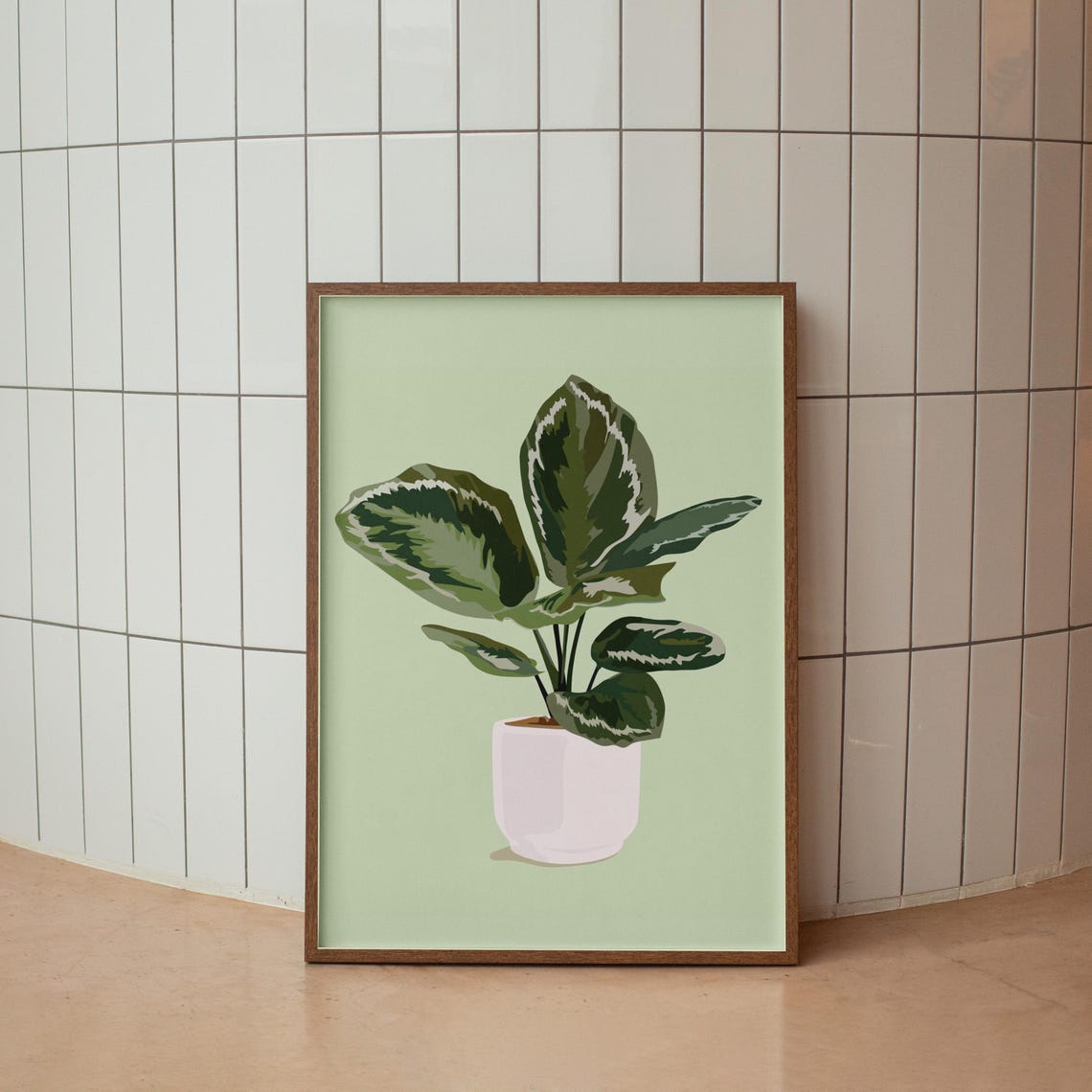 Variegated Potted Plant Illustration Green Botanical Art Poster