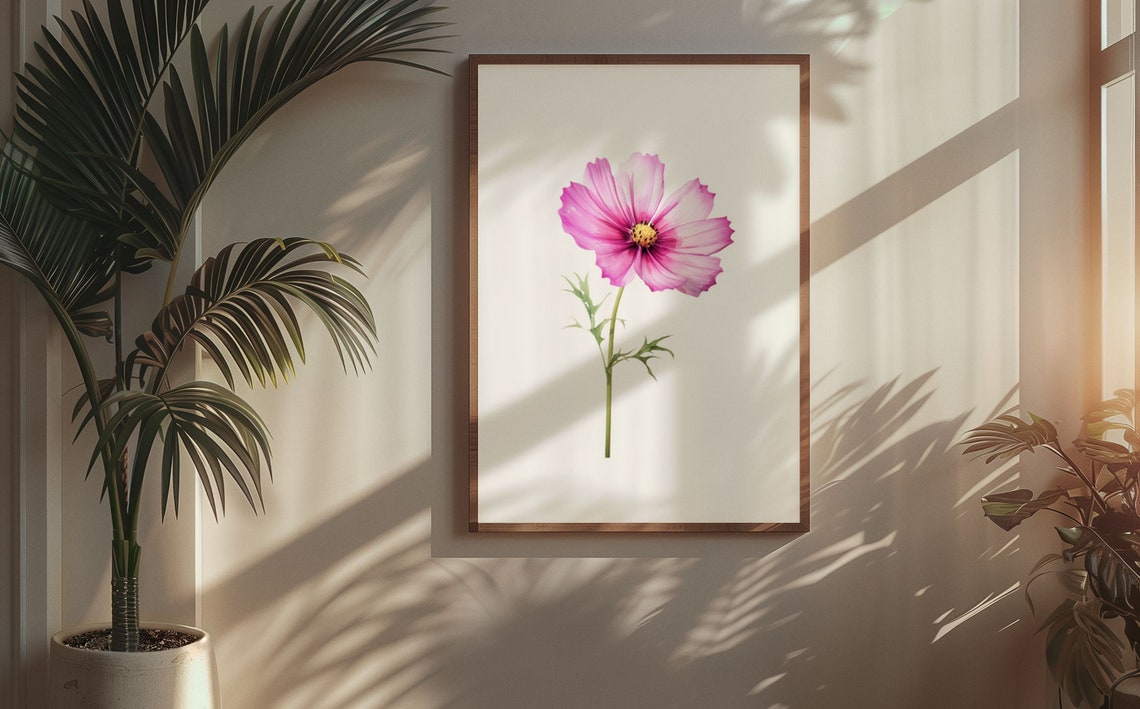 Pink Cosmos Single Bloom Watercolour Botanical Flower Poster - Image 5
