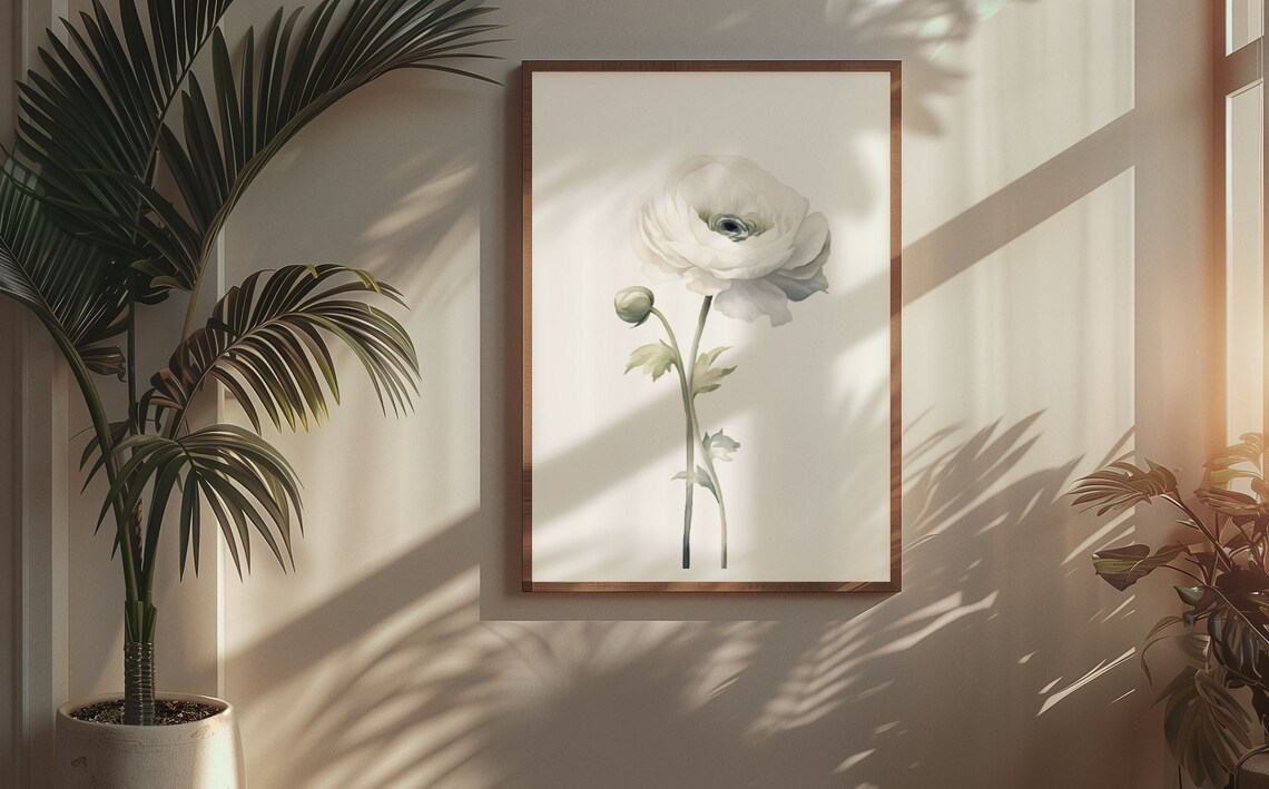 White Ranunculus and Bud Watercolour Botanical Flower Poster - Image 5