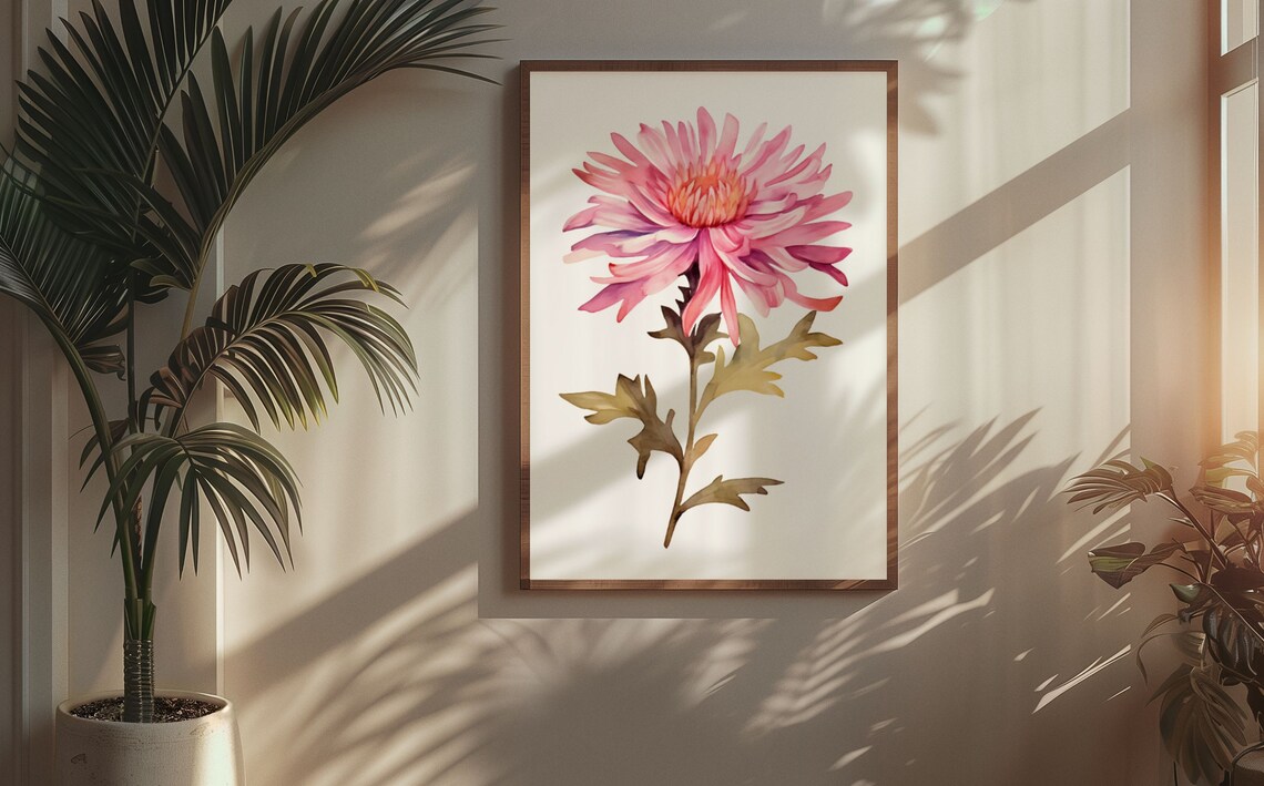 Coral Pink Aster Spiky Bloom Watercolour Botanical Flower Poster - Image 6